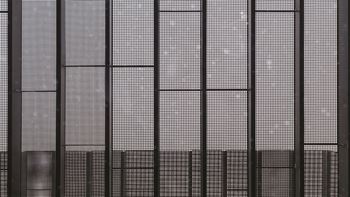 GREYDER 3